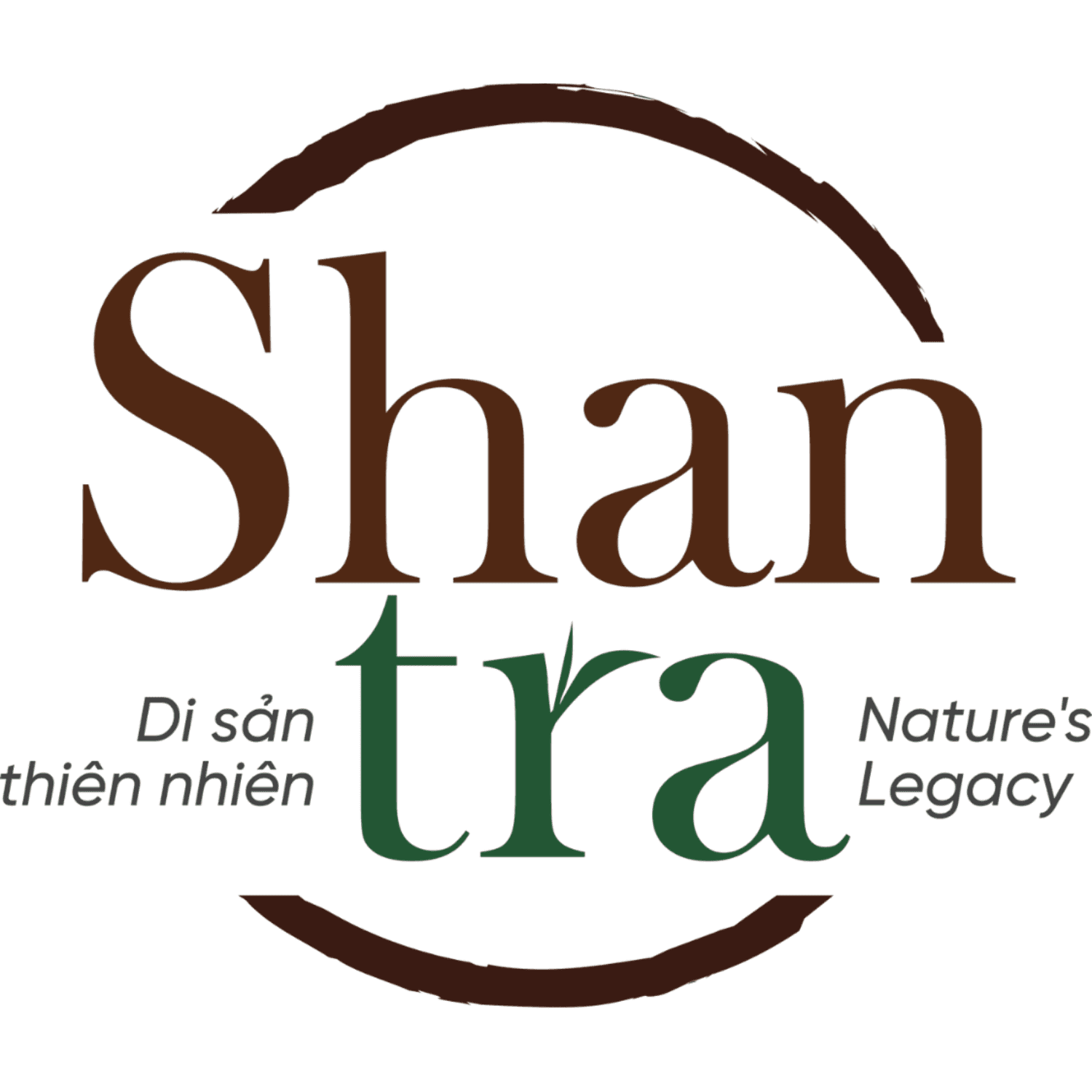 Shan Trà